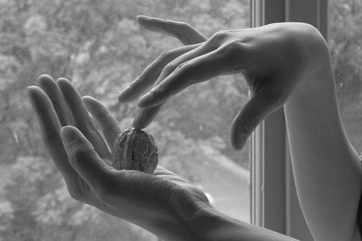 The black and white photo shows two hands, one hand holding a walnut, the middle finger of the other hand touching the nut, a window can be seen in the background