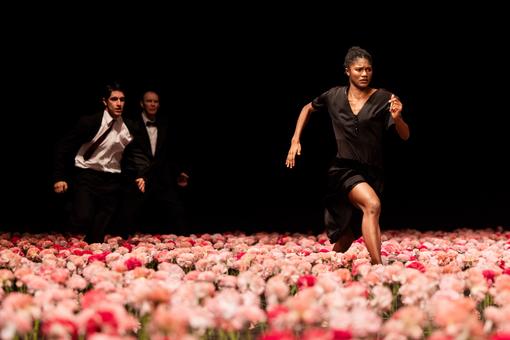 Das Foto zeigt eine Tanzszene aus der Performance Nelken von Pina Bausch, eine Frau in schwarzem Kleid läuft durch hunderte rosa Nelken, hinter ihr her zwei Männer in dunklen Anzügen