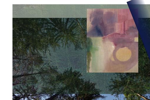 Digitale Collage, die mit Hintergrund Baumkronen von Nadelbäumen von unten aufgenommen und im Vordergrund ein rosalisagrün farbenes, abstraktes Bild zeigt