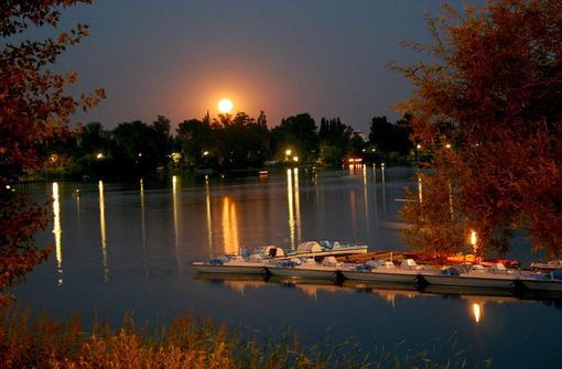 The photo shows the Old Danube in Vienna in the evening, in the foreground some pedal boats, in the background the full moon, lights are reflected in the water