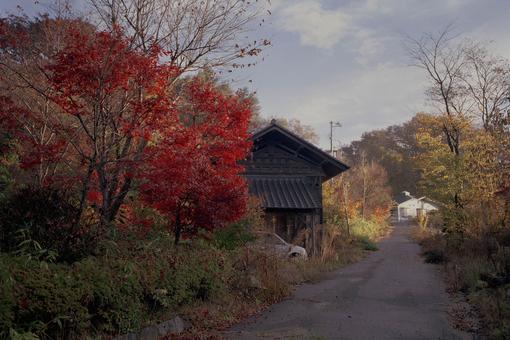 Photo of landscape in autumn color, on it a narrow road leading past a dark house to a white house in the background