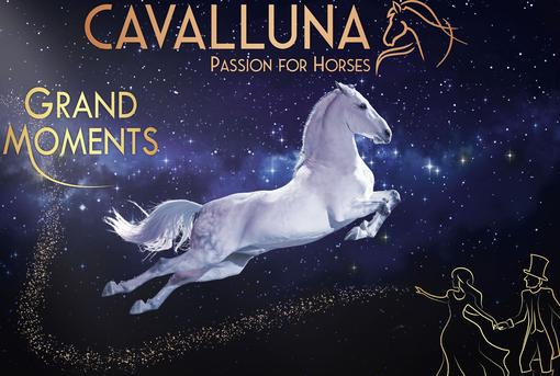 Poster showing a white horse taking a leap into the starry sky.