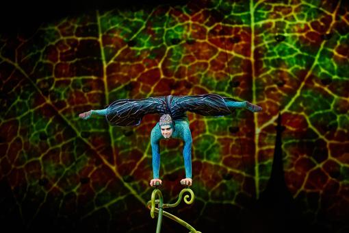 Acrobat in the costume of a blue and turquoise dragonfly performing a balancing act