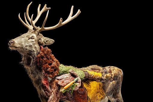 The photo shows a stuffed stag whose fur is artistically decorated with various foods such as vegetables and roasted meat. The stag stands in front of a deep black background