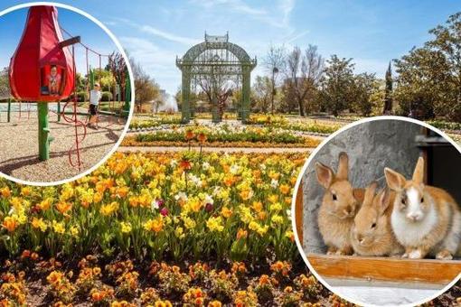 Das Foto zeigt einen Teil der blühenden Blumengärten mit gelben und orangen Frühlingsblumen, den Teil eines Kinderspielplatzes und drei kleine Kaninchen