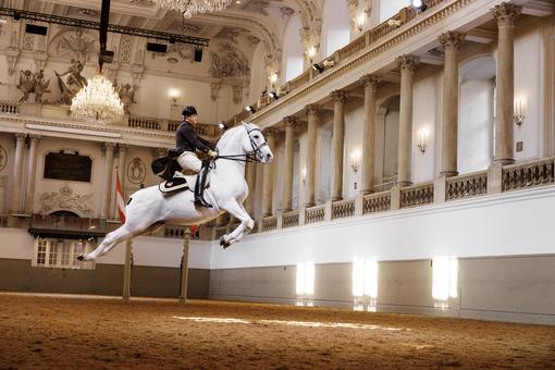 The photo shows a Lipizzaner with his rider jumping in the Winter Riding School of the Spanish Riding School