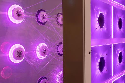 Ausstellungsansicht, die eine Installation zeigt, die ein neuronales Netz darstellen soll, alles ist mit lilapinkem Licht unterlegt 