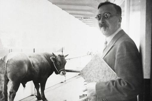 Black and white photo of Stefan Zweig with sunglasses, cigarillo in his mouth and a notebook in his arms, next to him a bull looking at the camera