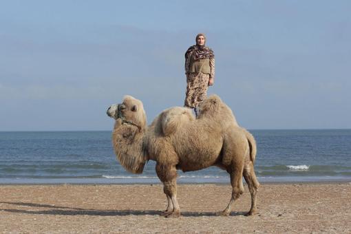 The photo shows a Muslim woman standing on a camel. The scene takes place on a beach by the sea.