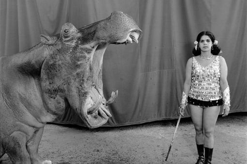 The black and white photo by photographer Mary Ellen Mark shows a hippopotamus with its mouth open and a performer standing next to it in a white palette top and black palette shorts, a stick in her hand