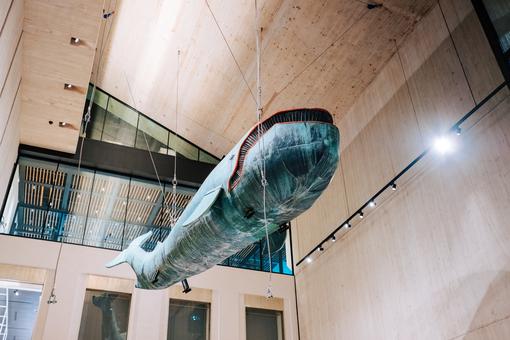 The photo shows an oversized whale figure made of grey-petrol-colored sheet metal floating freely in the large hall of the Wien Museum on Karlsplatz