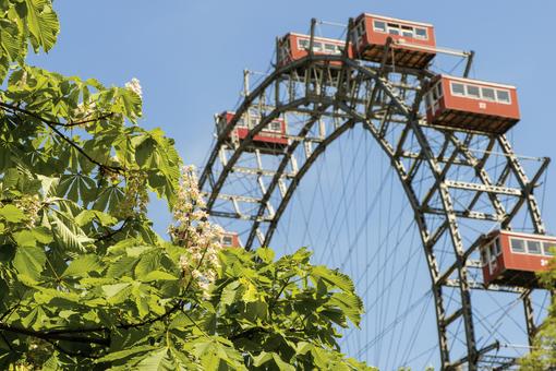 The photo shows part of the Vienna Ferris Wheel, in the foreground the branches of a blossoming chestnut tree, in the background blue sky