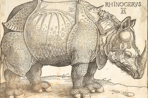 Print of a woodcut showing in detail the image of a rhinoceros