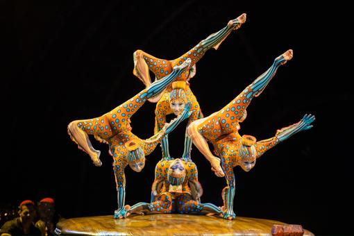 The photo shows a group of female artists in a spectacular acrobatic figure, in imaginative orange and turquoise costumes