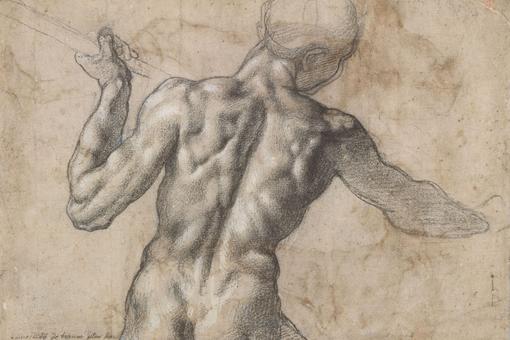 Drawing of male back nude, drawn with black chalk 