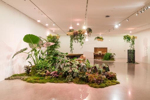Ausstellungsansicht: eine Arrangement von Pflanzen wie eine Pflanzeninsel in einem Ausstellungsraum, im Hintergrund Möbelstücke und ein Klavier