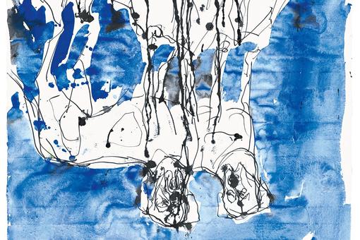 Drawing with ink and watercolors of two white dogs turned upside down on blue background