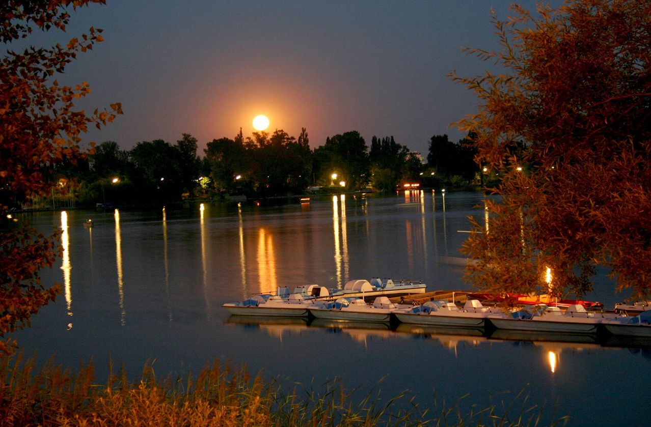© Arbeitsgemeinschaft "Die Schöne Alte Donau" The photo shows the Old Danube in Vienna in the evening, in the foreground some pedal boats, in the background the full moon, lights are reflected in the water