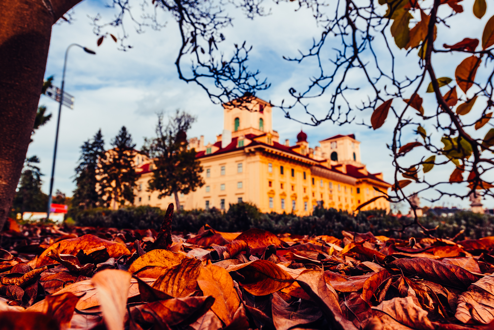Schloss Esterházy © Esterhazy Betriebe AG, Foto: Josef Siffert Zu sehen ist im Hintergrund des Fotos das Schloss Esterházy, im Vordergrund rötliches, goldbraunes Laub eines Baumes