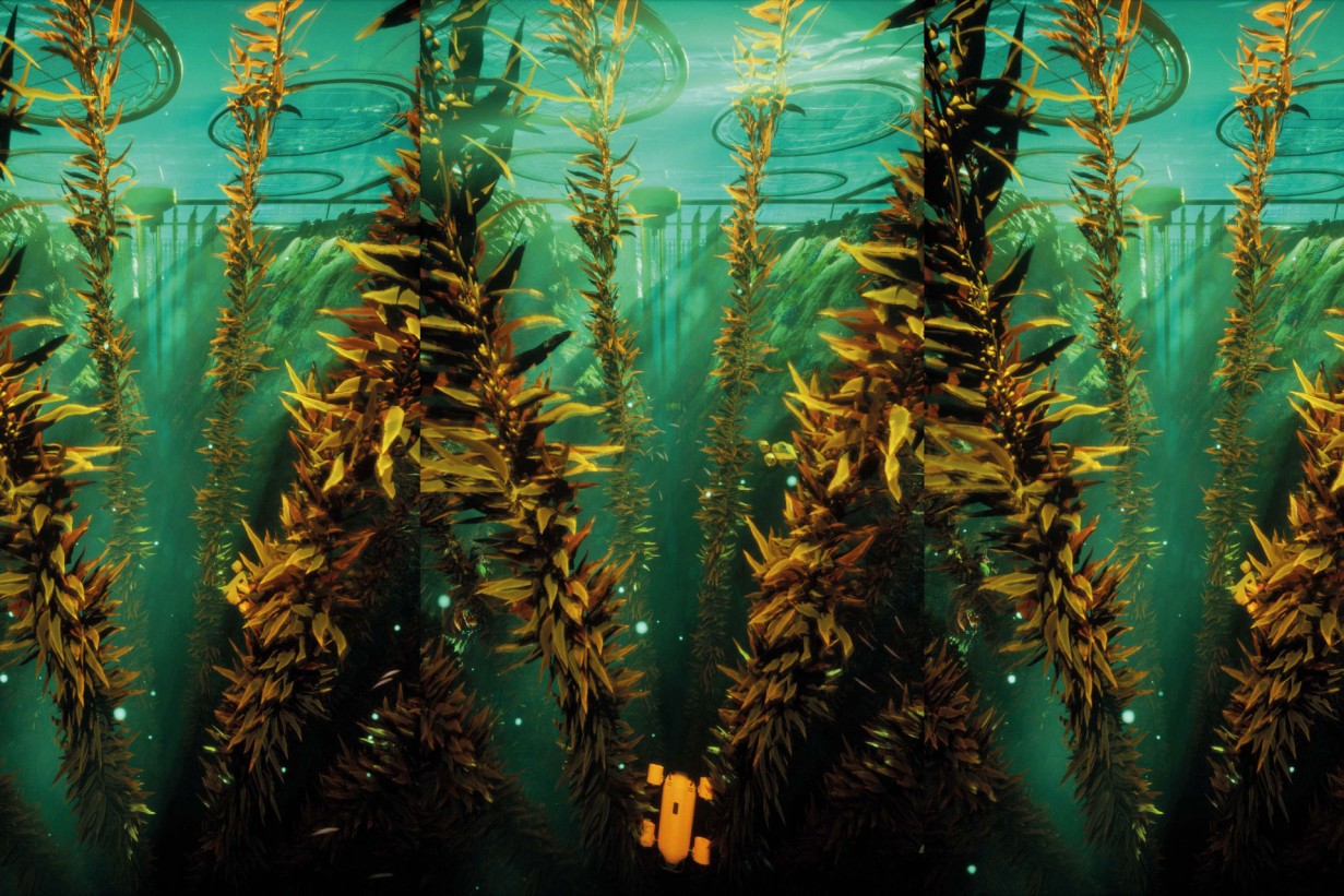 © Superflux: The Seas Are No Longer Dying, 2022. Produziert von Superflux in Zusammenarbeit mit Safe Seaweed Coalition sowie Cream Projects und David Vélez Filmstill Das Foto zeigt Wasserpflanzen wie Seetang vor grünem Hintergrund