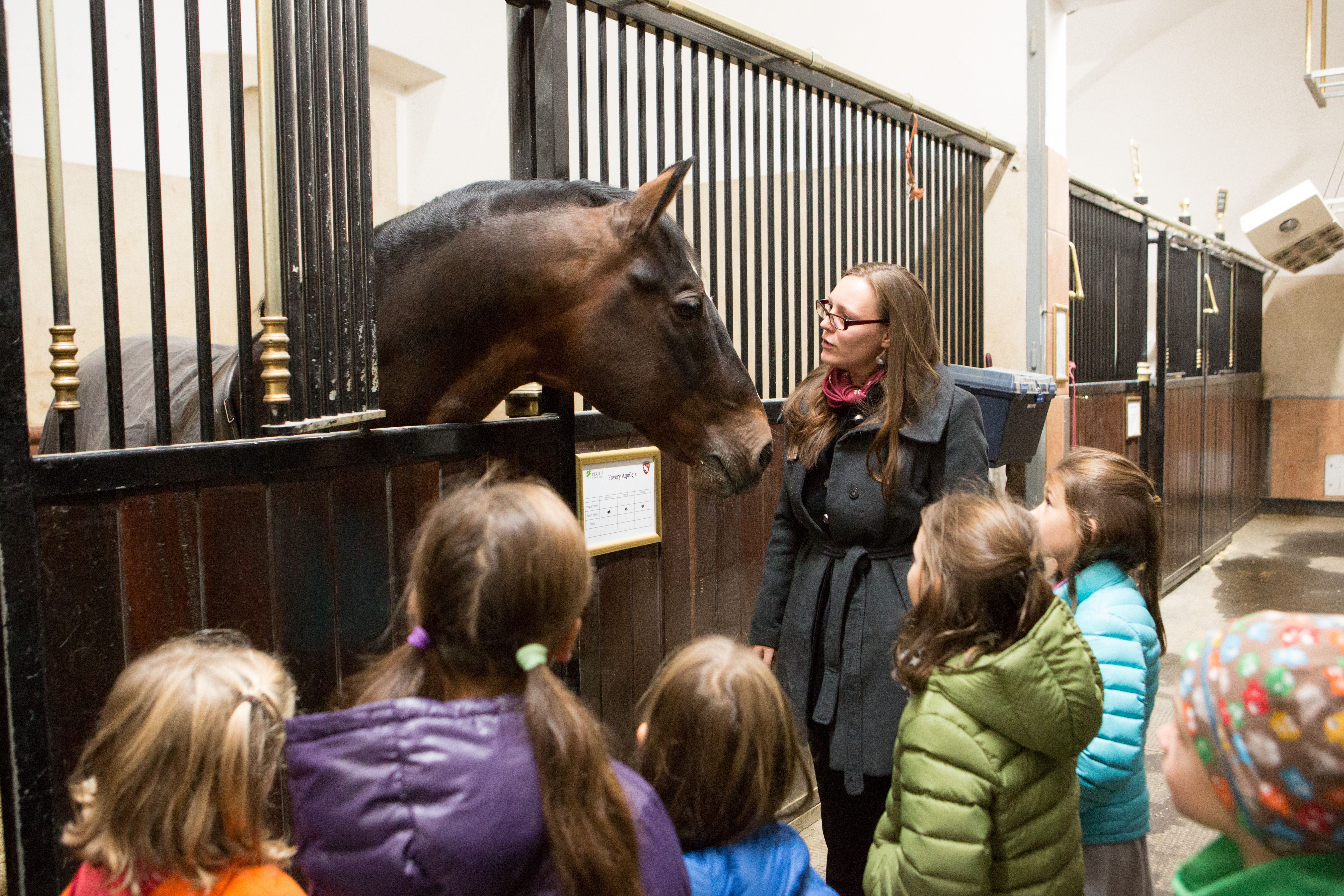 @ Spanische Hofreitschule Eine Kindergruppe mit Begleiterin vor einer Pferdebox im Stall der Spansichen Hofreitschule