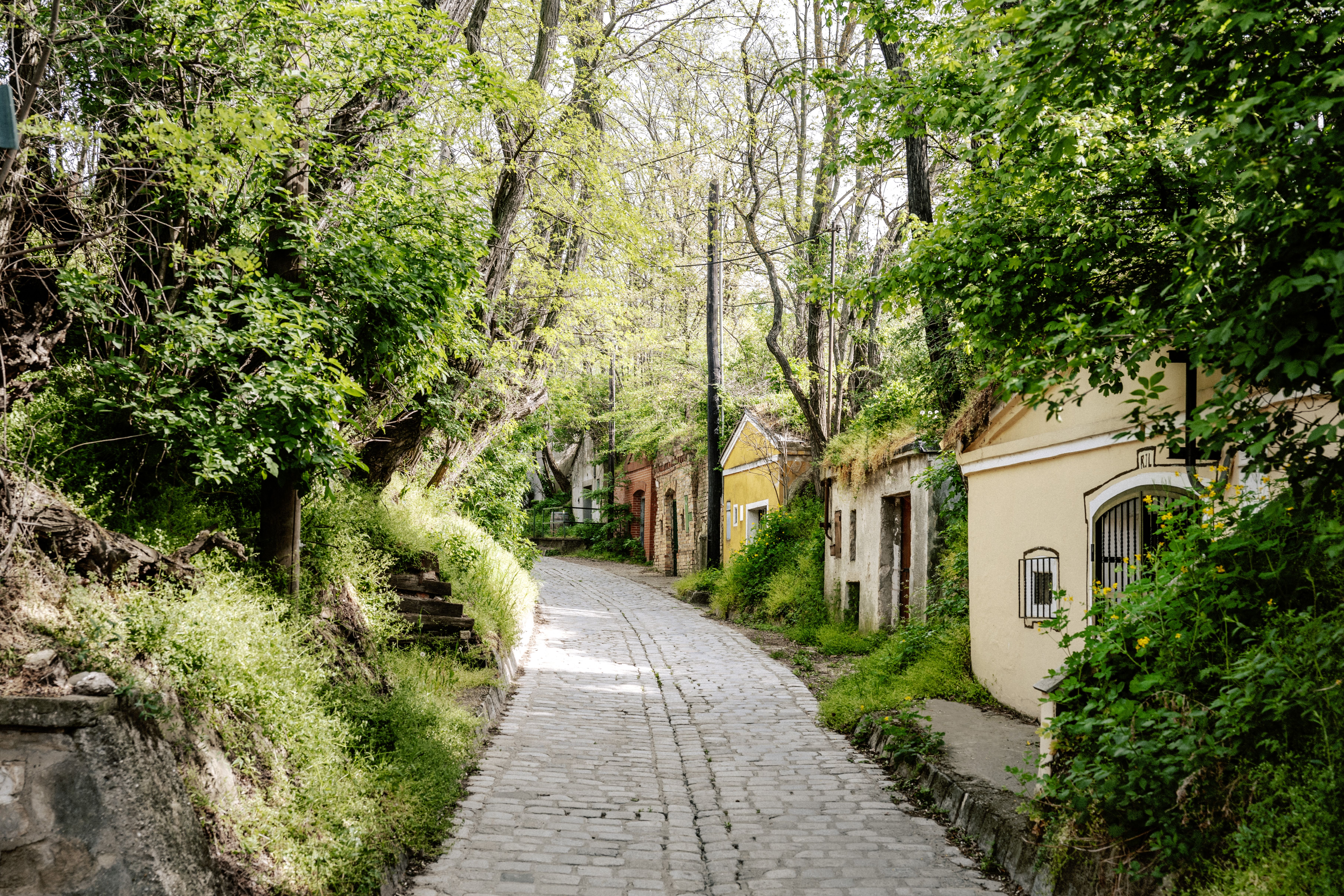 © WienTourismus/Paul Bauer Das Foto zeigt eine traditionelle Kellergasse mit einzelnen Eingängen zu den Weinkellern